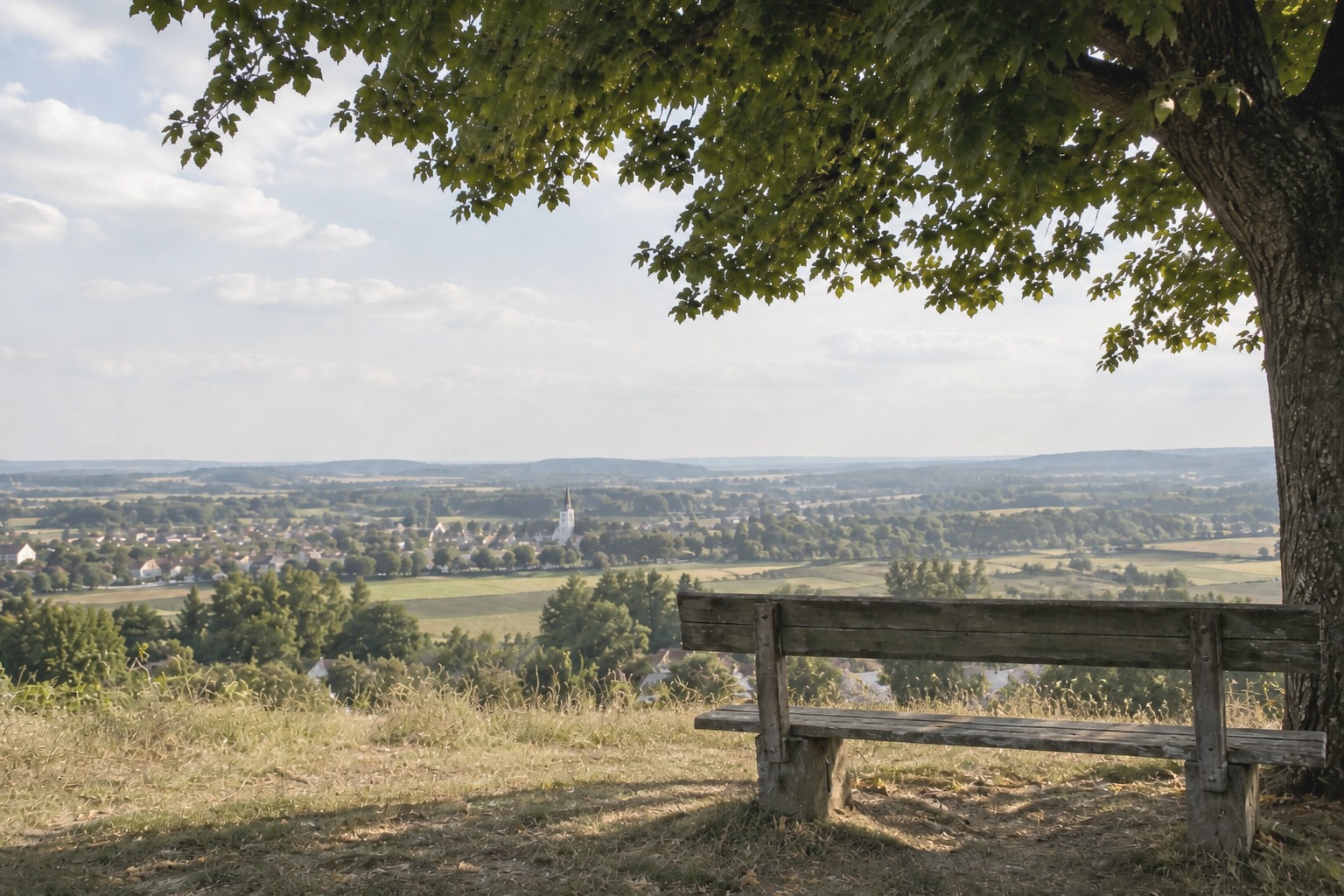 An empty hillside bench under a tree overlooking a valley town